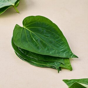 Khashia Pan (১ ঘুছি )