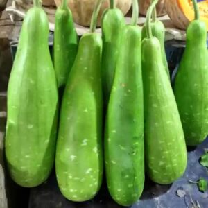 Calabash Gourd 1kg