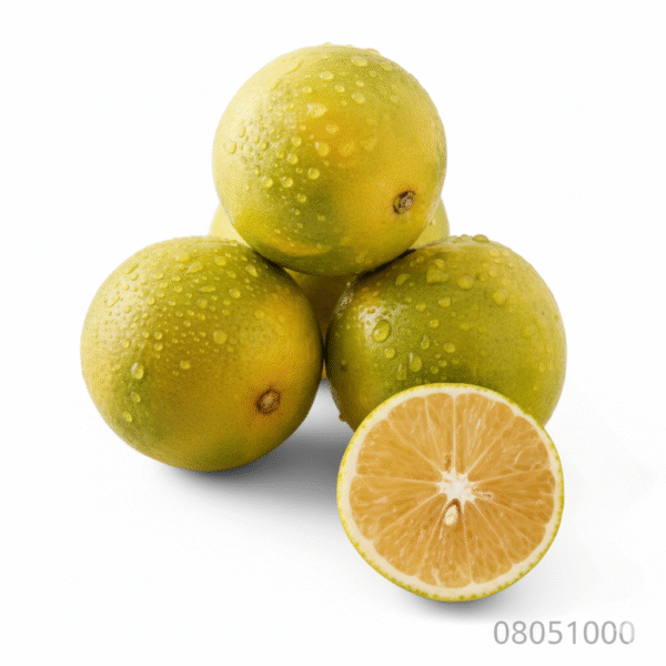 Mousambi