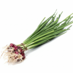 Spring Onioin