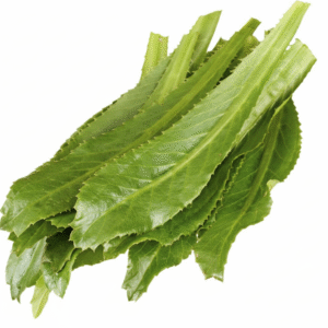 Culantro leafs (Naga Dulha) 1 bunch